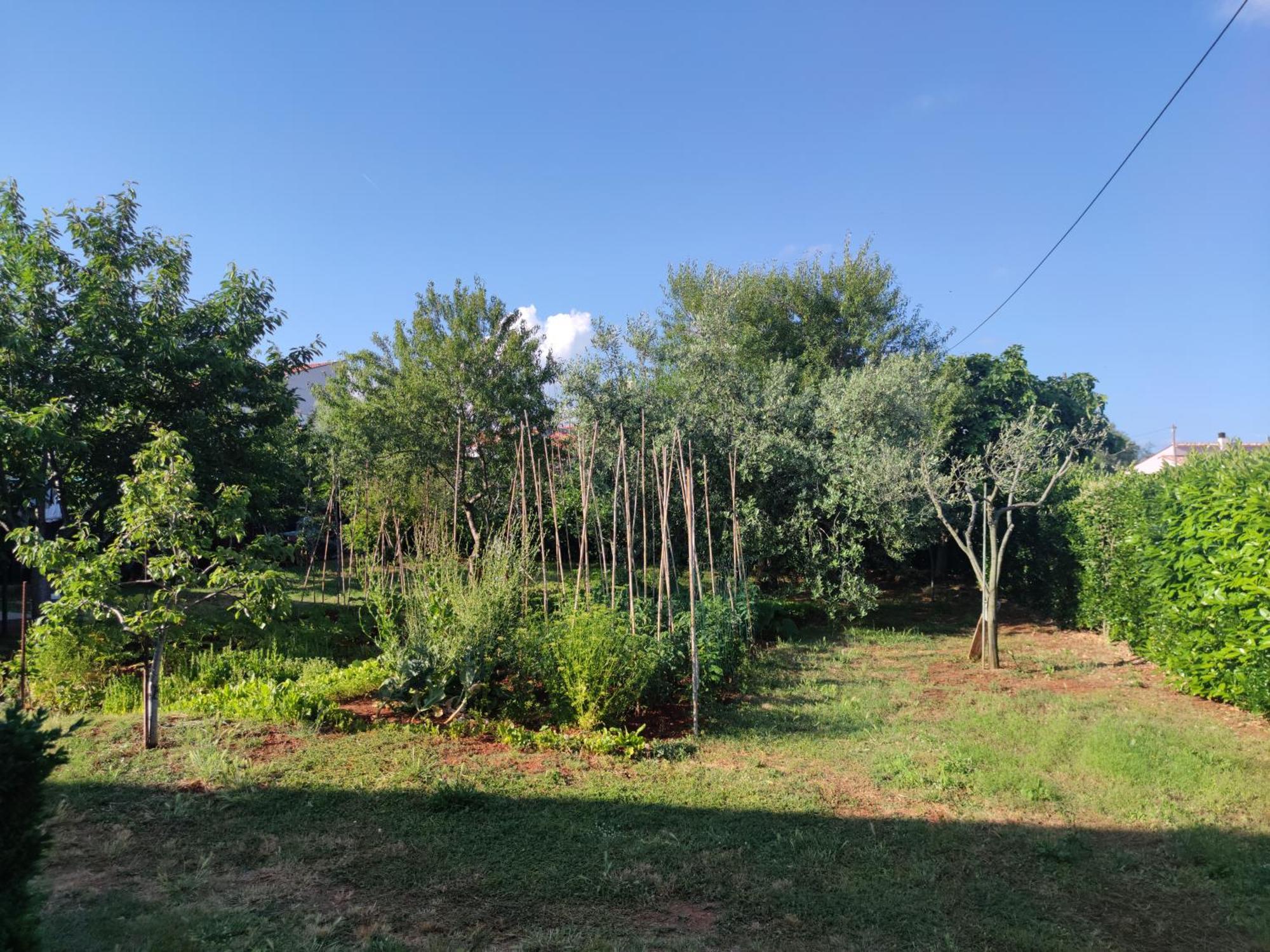 Spacious Apartment With Parking&Garden Marčana Szoba fotó